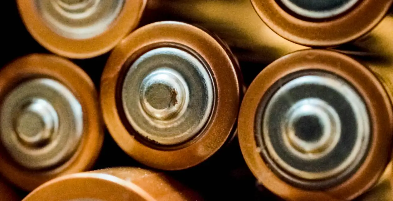 Rows of AA batteries.